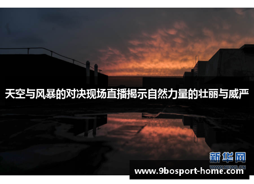 天空与风暴的对决现场直播揭示自然力量的壮丽与威严